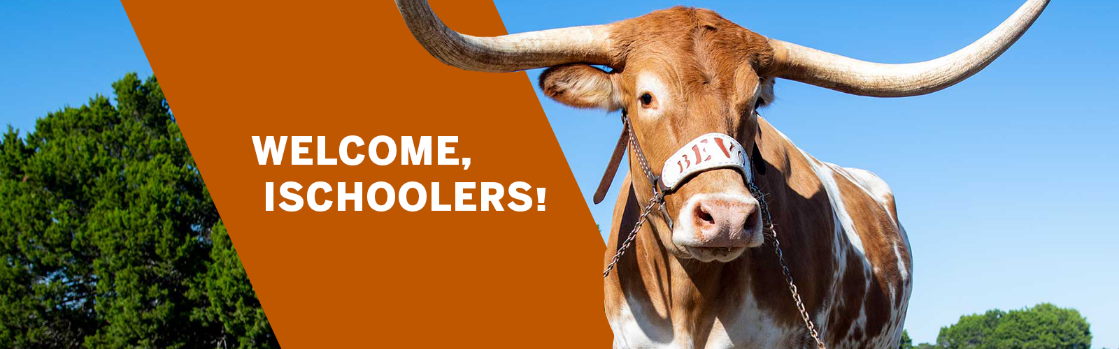 Welcome Longhorns Banner